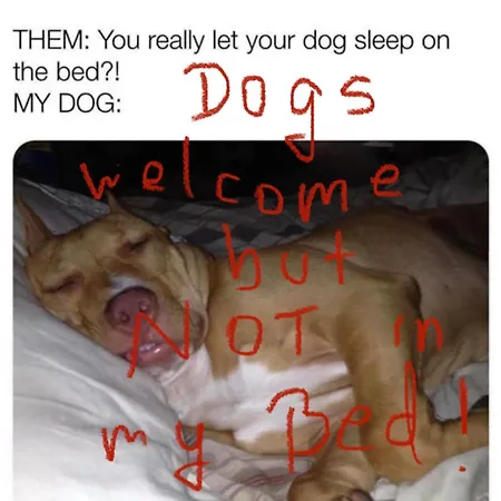 Appartement Sweet Flat With 2 Bedrooms Croatia